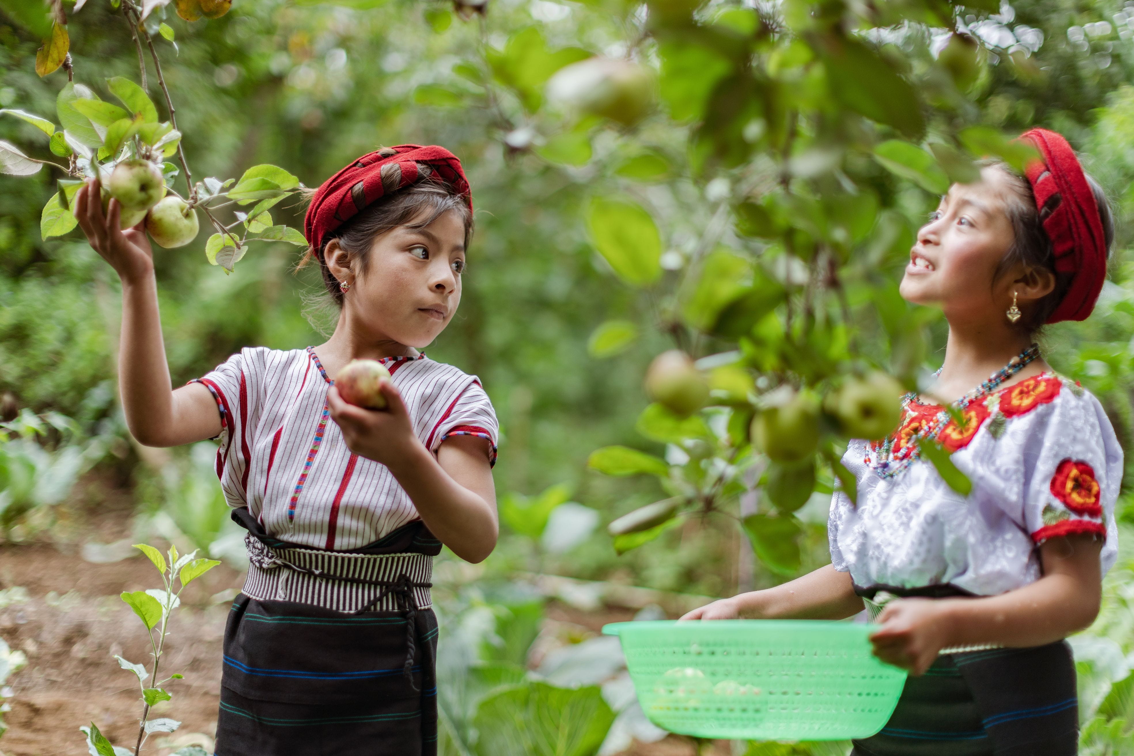 Hausbesuch II Weberei - PROJEKT Nr.: 80036 und 80039 - Hausbesuch  am Sonntag den 05.08.2018 in Huehuetenango. Foto: Jakob Studnar /  Kindernothilfe