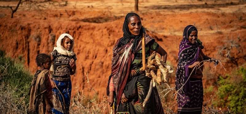 Frauen tragen Feuerholz (Quelle: Jakob Studnar) Frauen tragen Feuerholz (Quelle: Jakob Studnar)