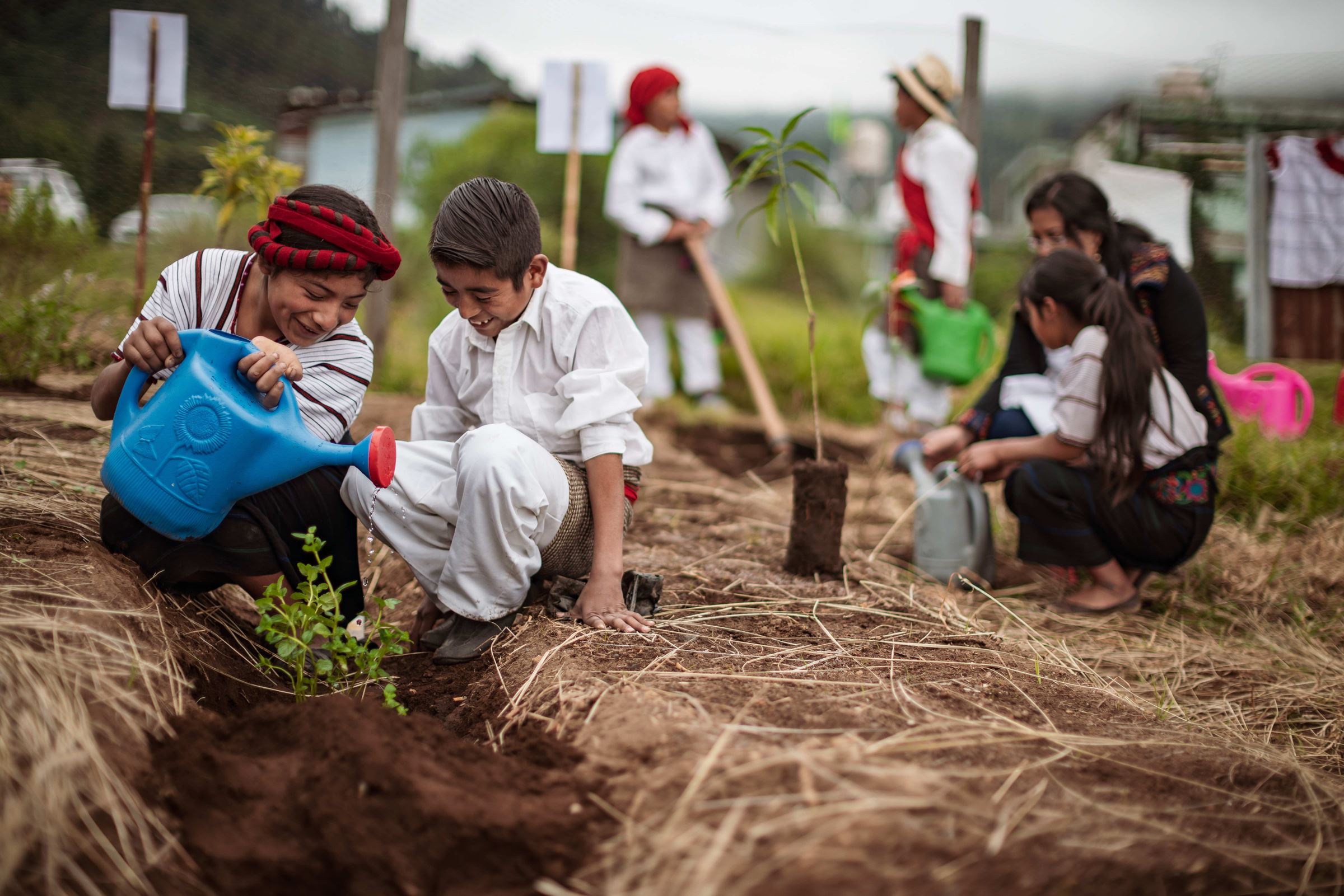 Kinder im Schulgarten  (Quelle: Jakob Studnar) Kinder im Schulgarten  (Quelle: Jakob Studnar)