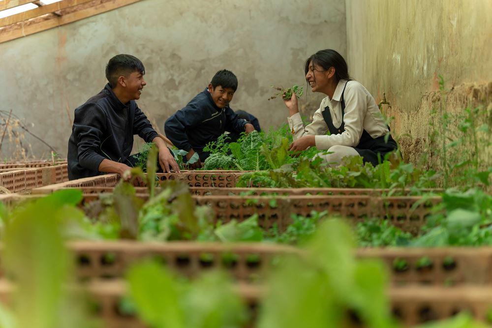 Drei Jugendliche arbeiten im Gewächshaus (Quelle: Christian Nusch) Drei Jugendliche arbeiten im Gewächshaus (Quelle: Christian Nusch)