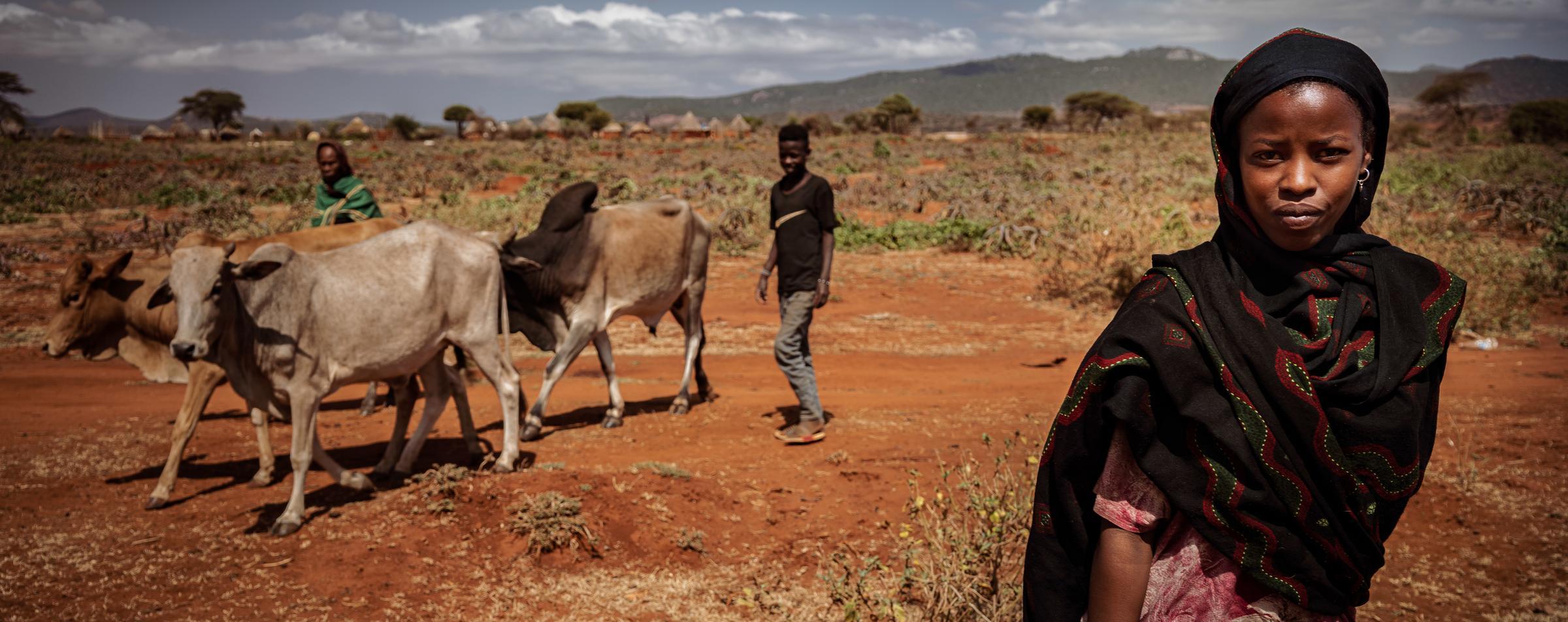 Mädchen mit Kälbern im Hintergrund in Dida Yabello, Äthiopien. (Quelle: Jakob Studnar/KNH) Mädchen mit Kälbern im Hintergrund in Dida Yabello, Äthiopien. (Quelle: Jakob Studnar/KNH)