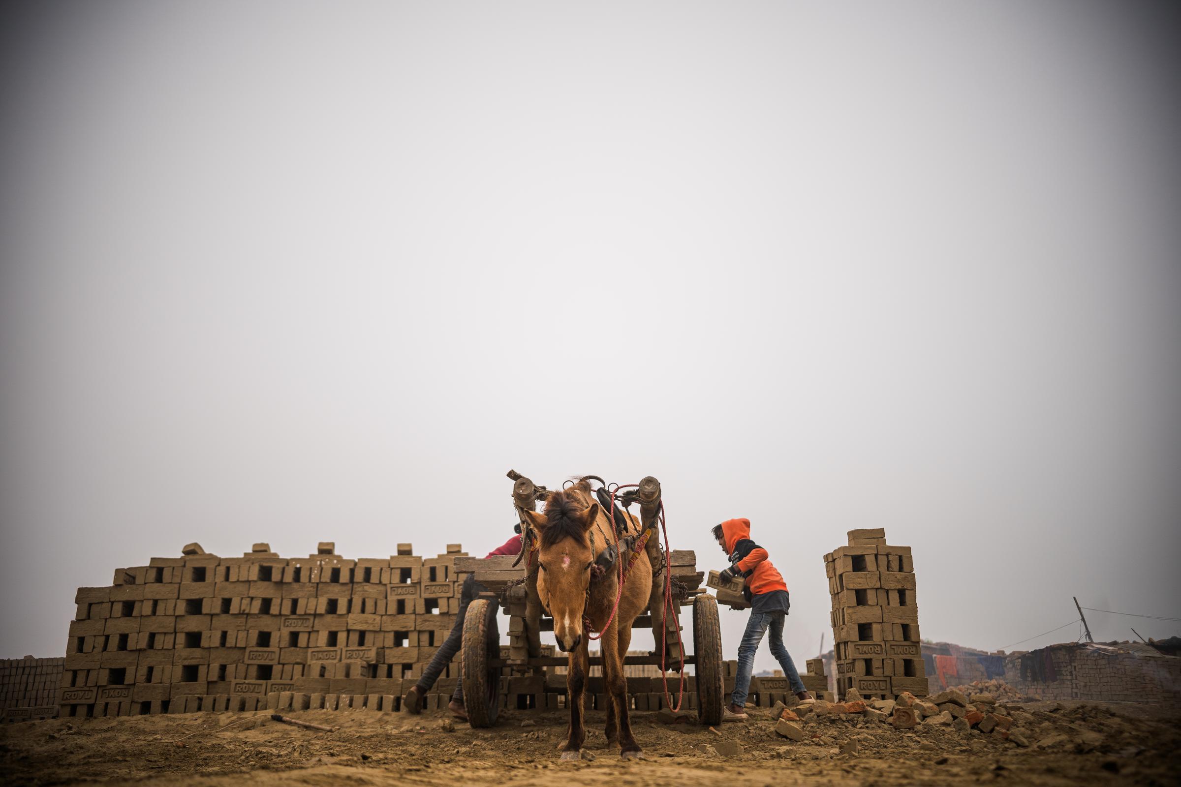 Mit einem Pferdekarren werden die schweren Steine in den Ofen transportiert (Foto: Martin Bondzio)