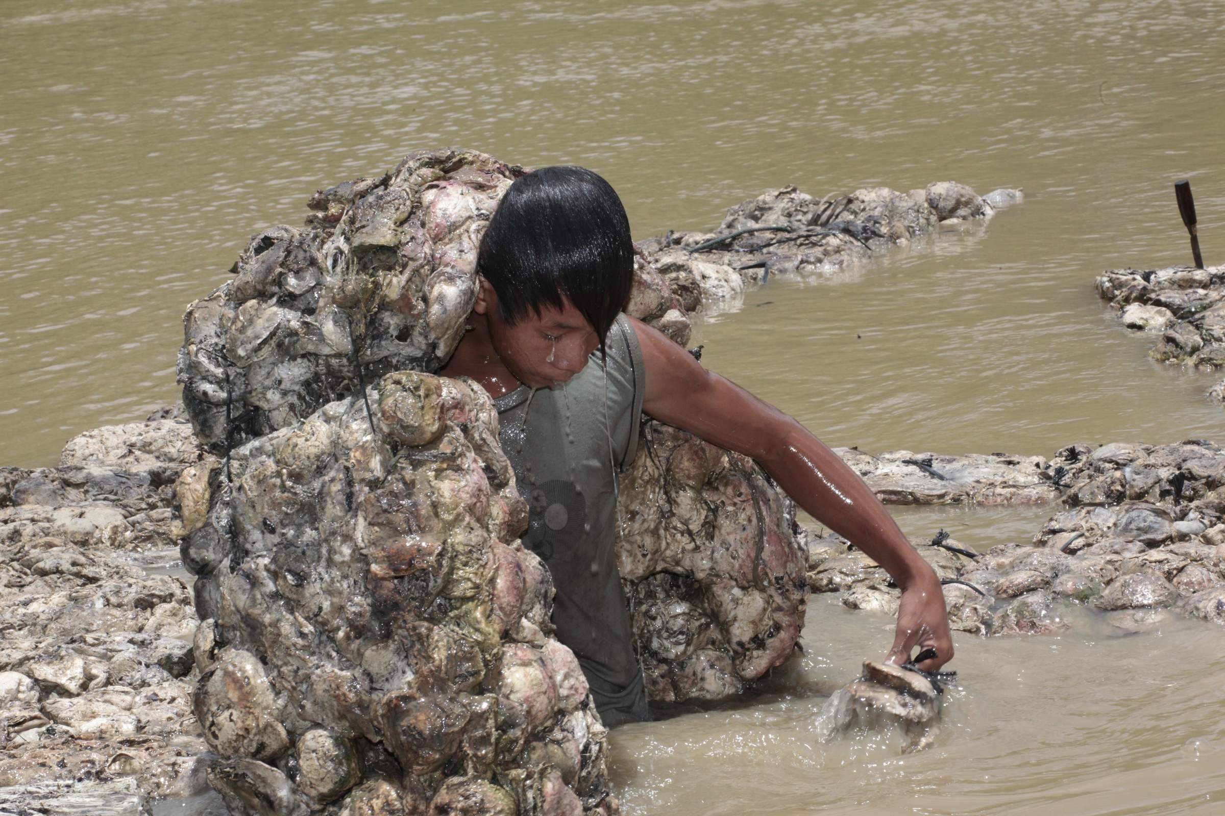 Jugendlicher schleppt Gummi zum Abtransport vom Fluss zu Lastwagen (Quelle: Christian Herrmanny/Kindernothilfe) Jugendlicher schleppt Gummi zum Abtransport vom Fluss zu Lastwagen (Quelle: Christian Herrmanny/Kindernothilfe)